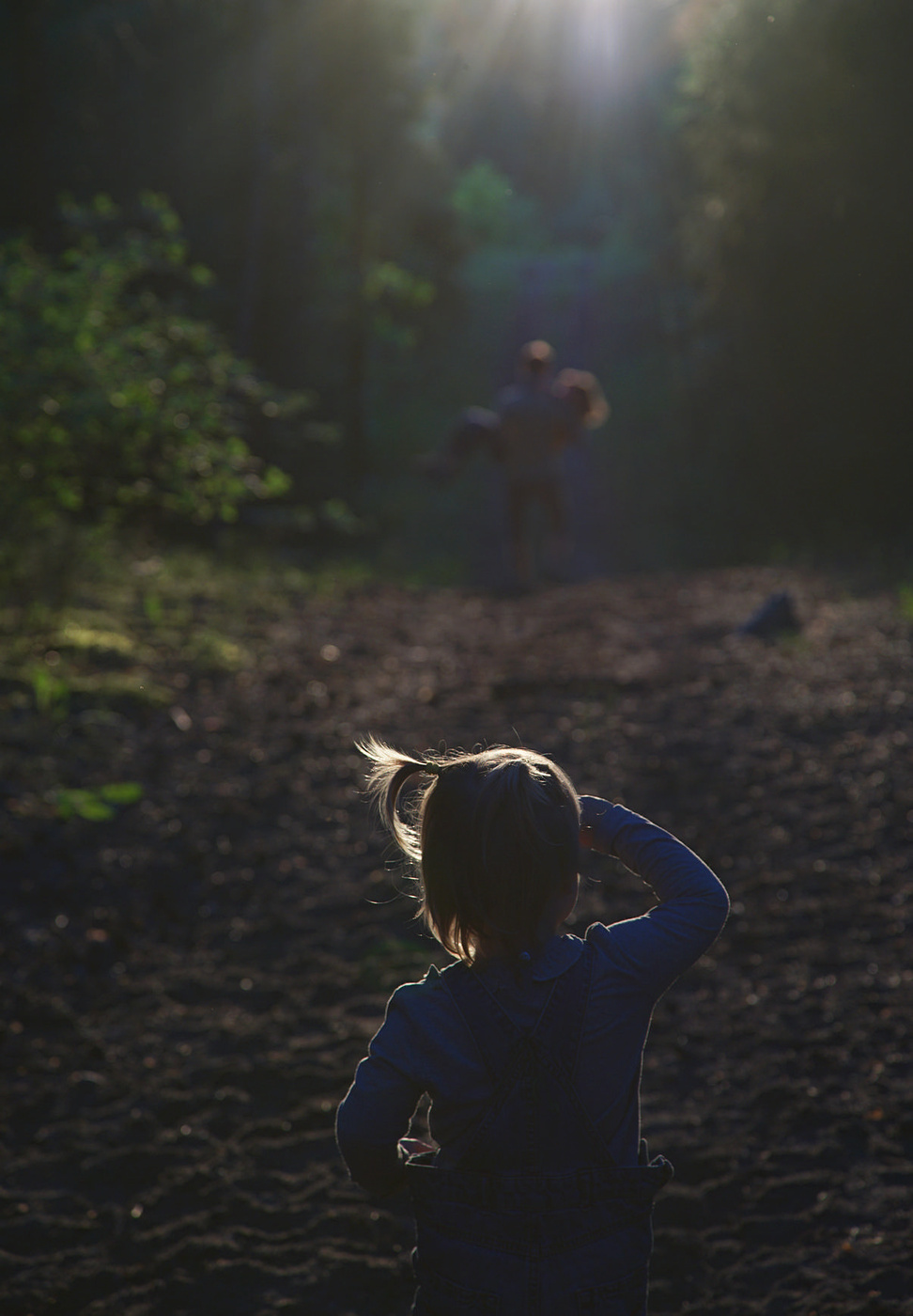 Schönheit rettet die Welt
