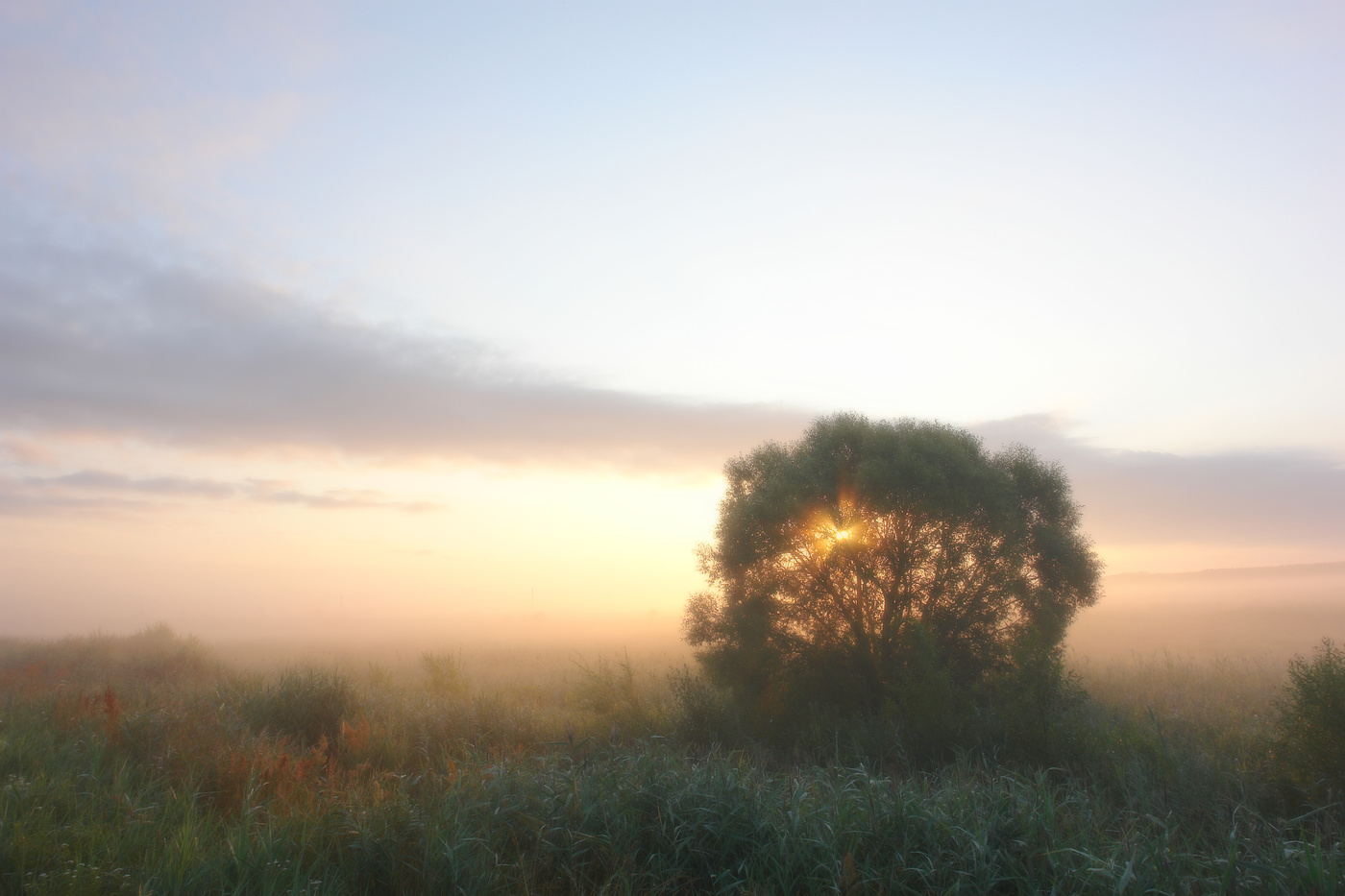 Die Sonne spielt Verstecken spielen