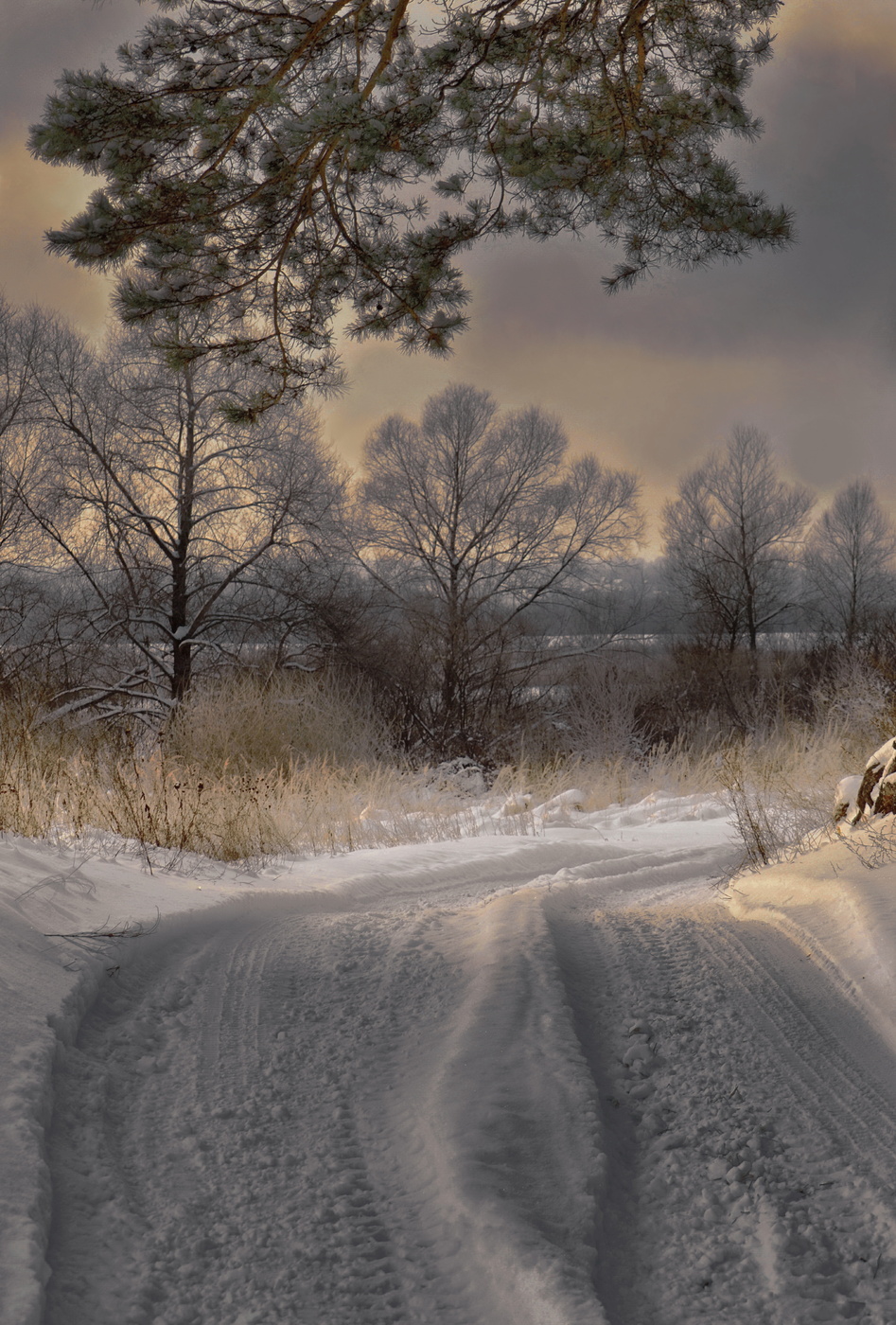 Sonnenuntergang im Winter