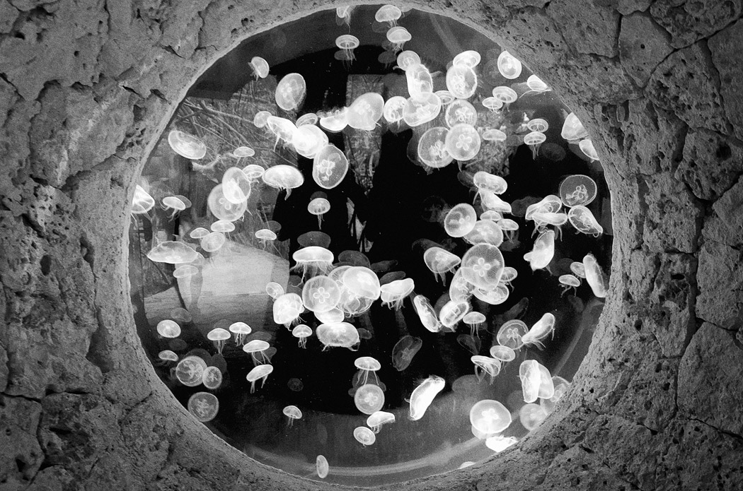 Auf der anderen Seite