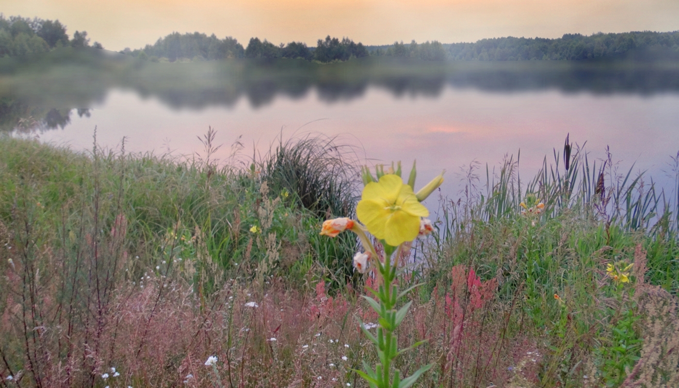 Am späten Nachmittag