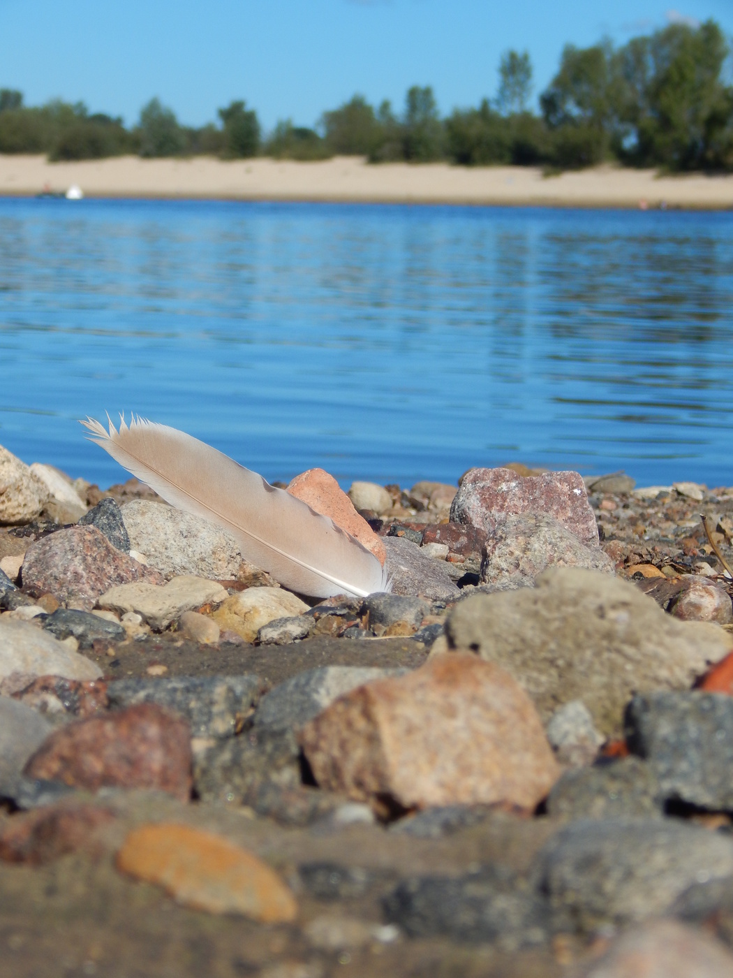 Sommer auf der Pripjat