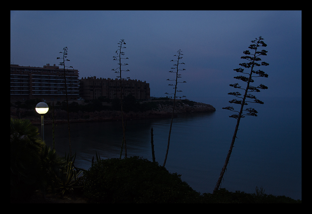 Bald wird der Morgen ...