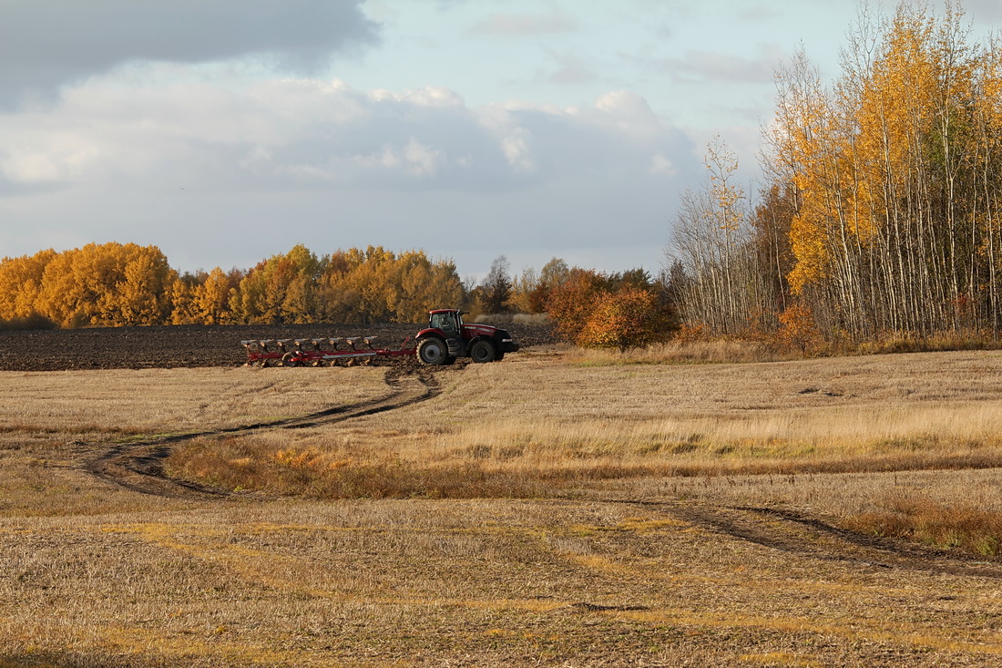 Niva komprimiert ...