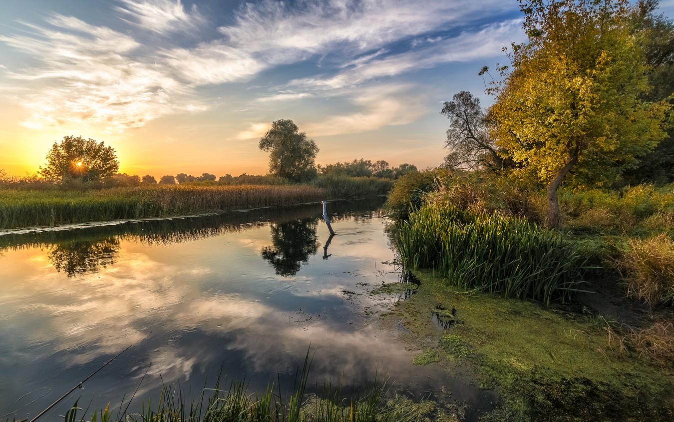 Aufrichtigen Gespräch