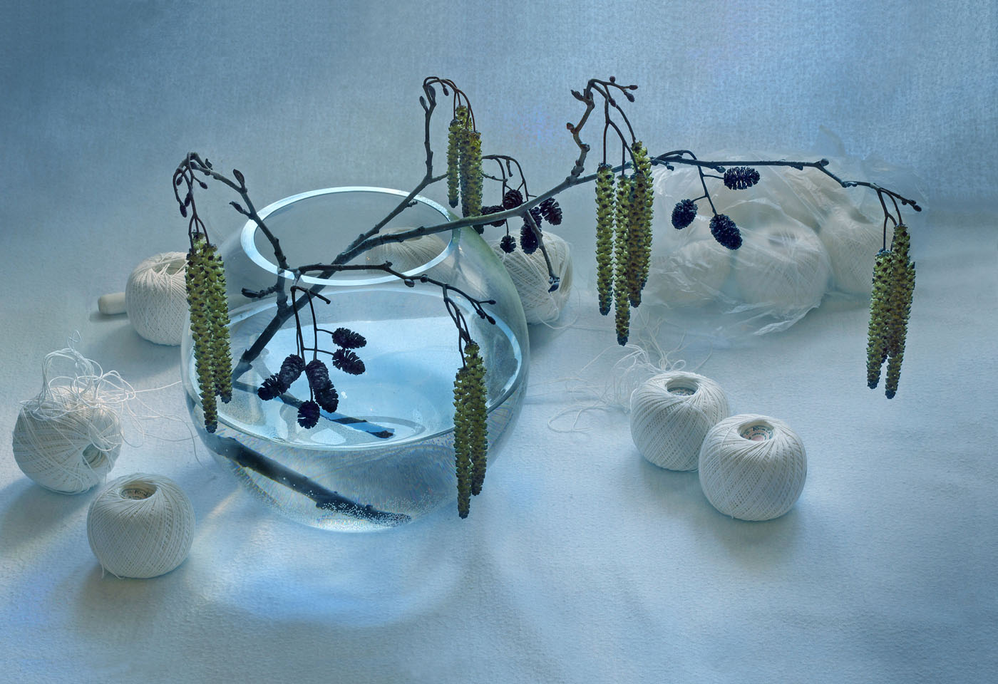 Premonition des Frühlings