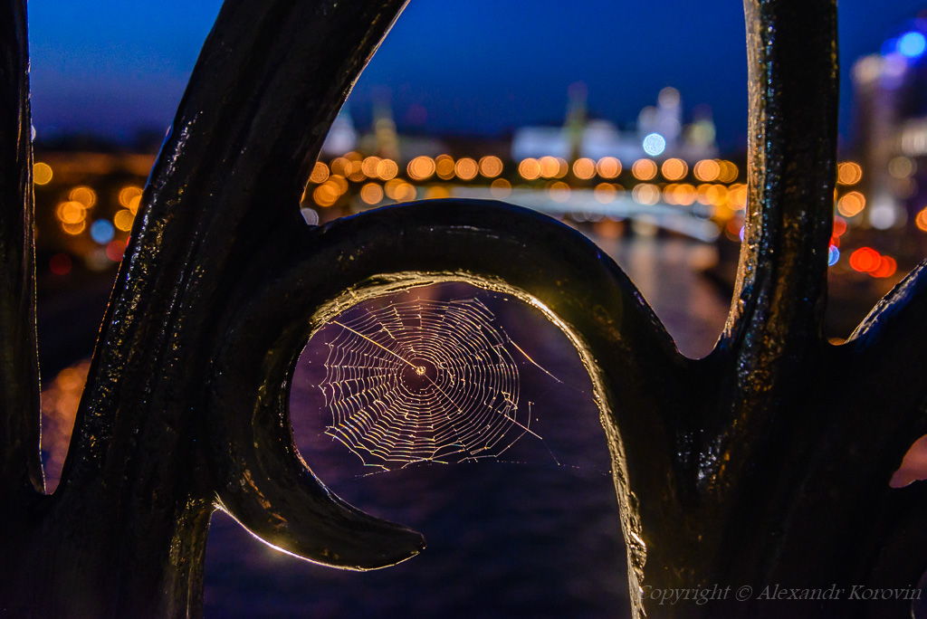 Stadt schläft nicht