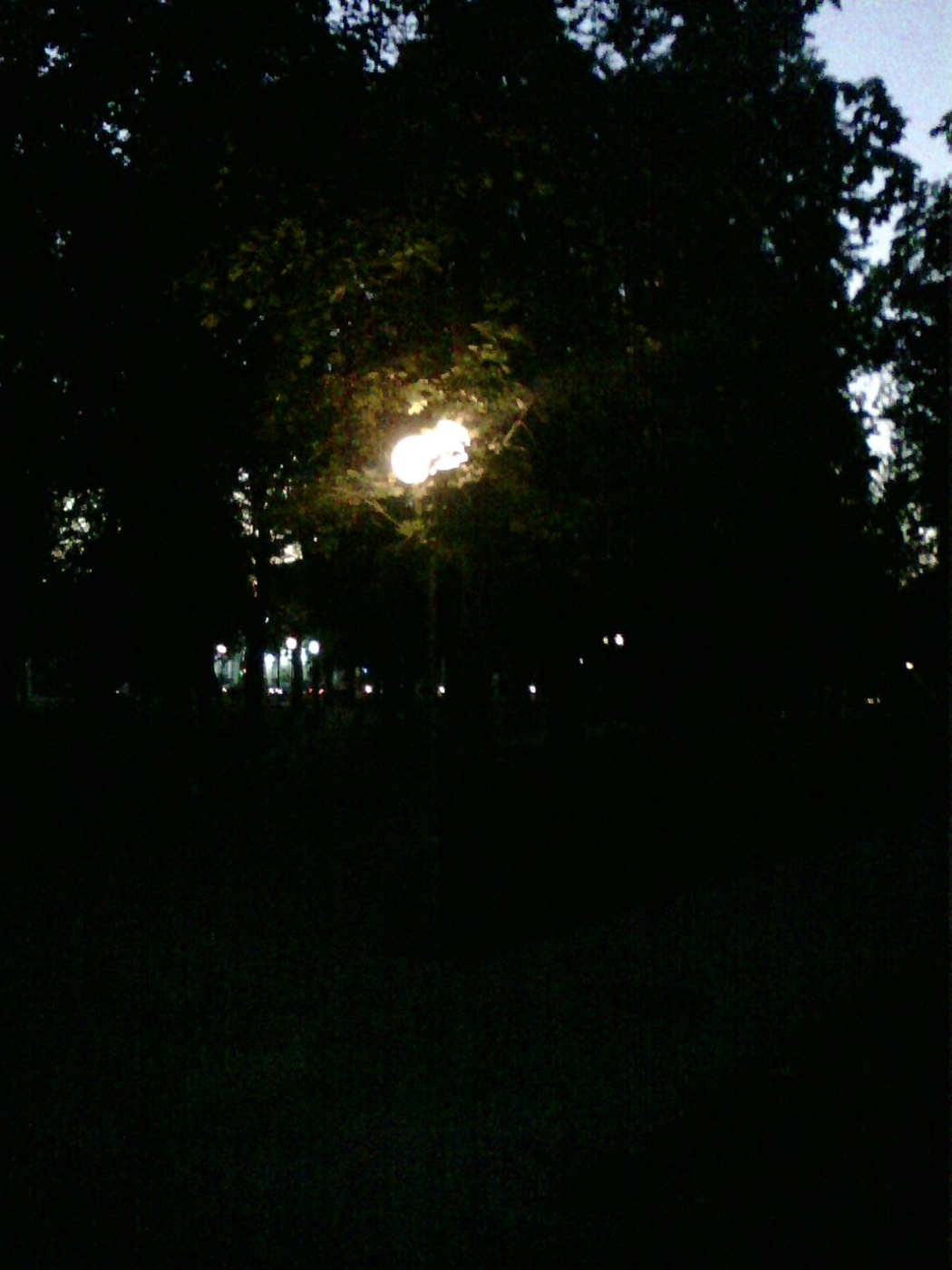 Stadt schläft nicht