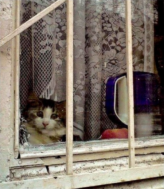 Gibt es Leben auf dem Mars?