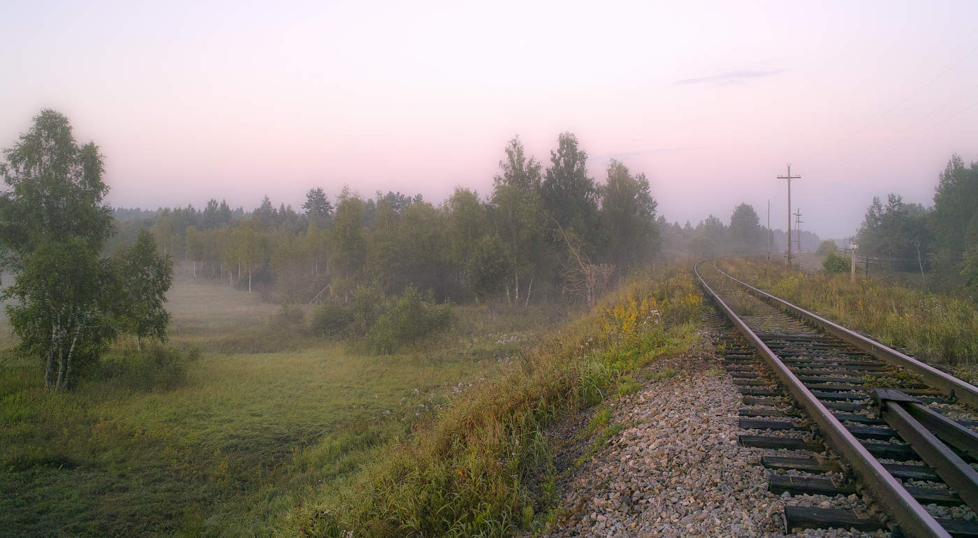 Straße im Nebel