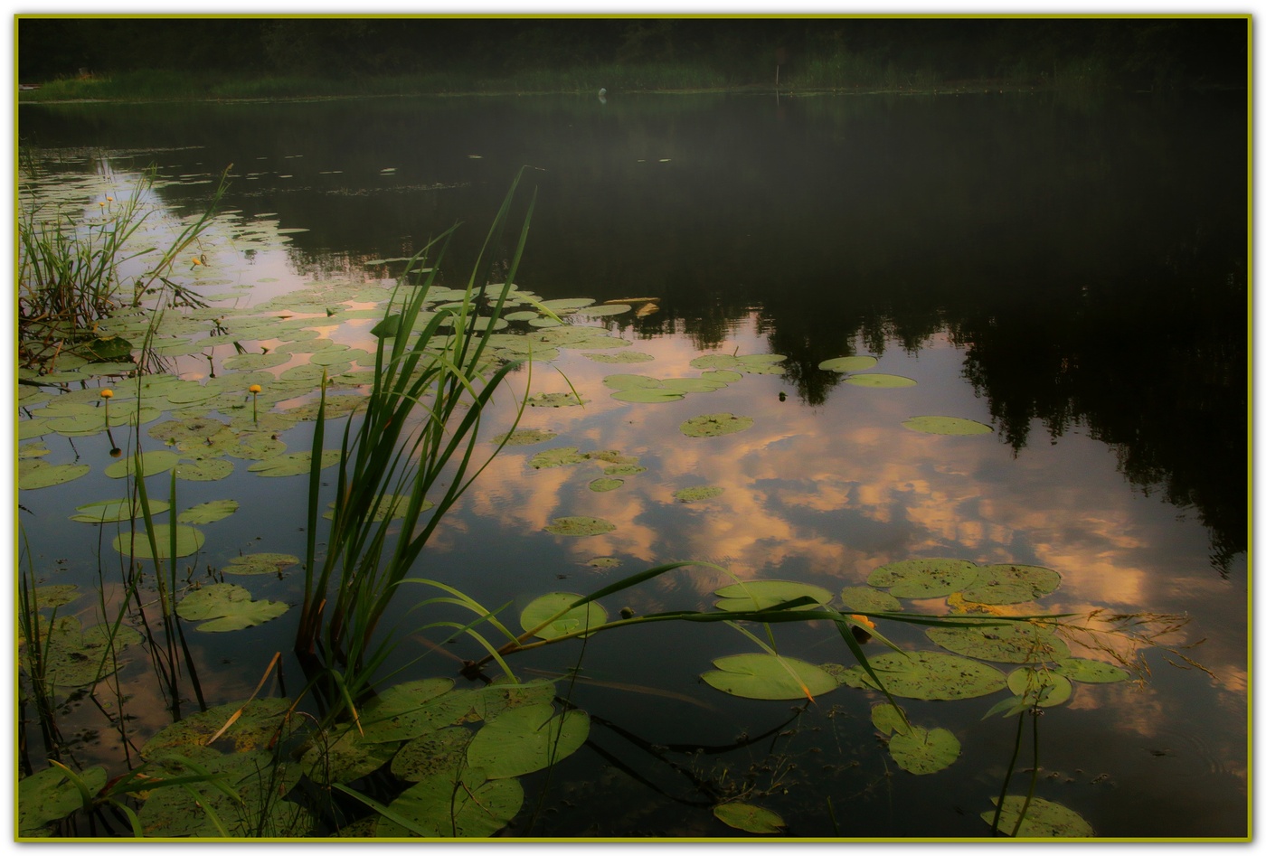 Nebel über dem Fluss