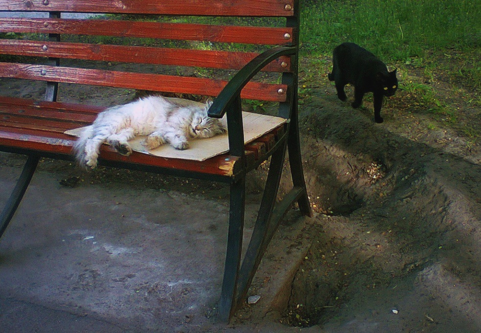 Männliche und weibliche