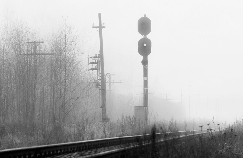 Männliche und weibliche