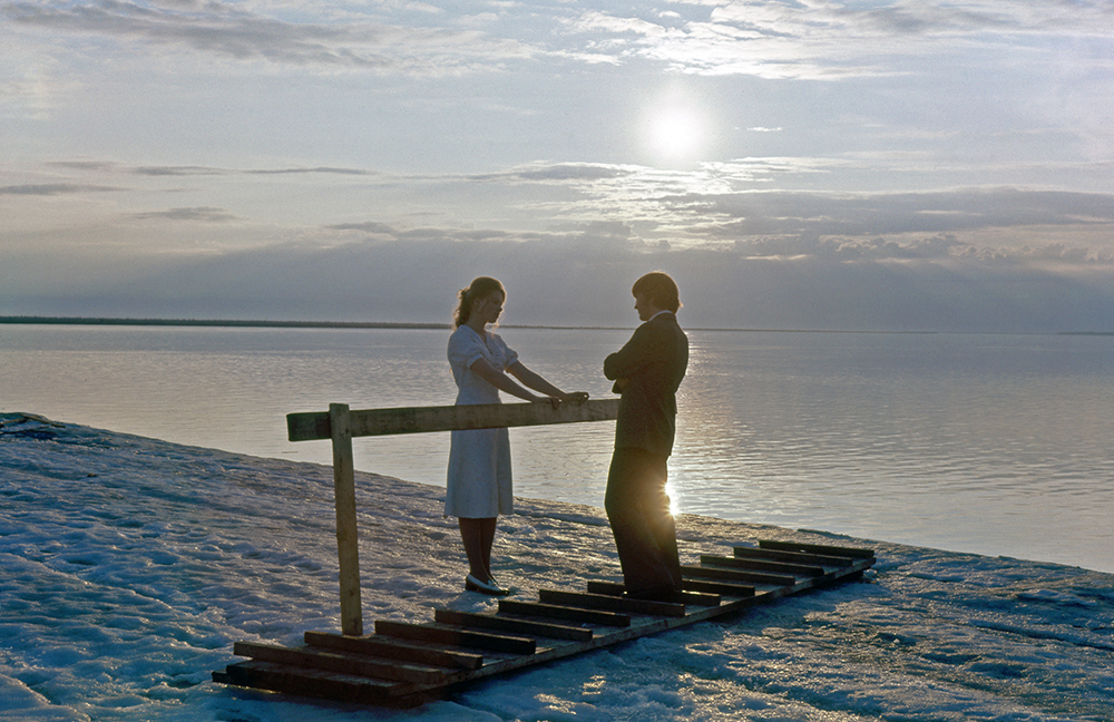 Männliche und weibliche