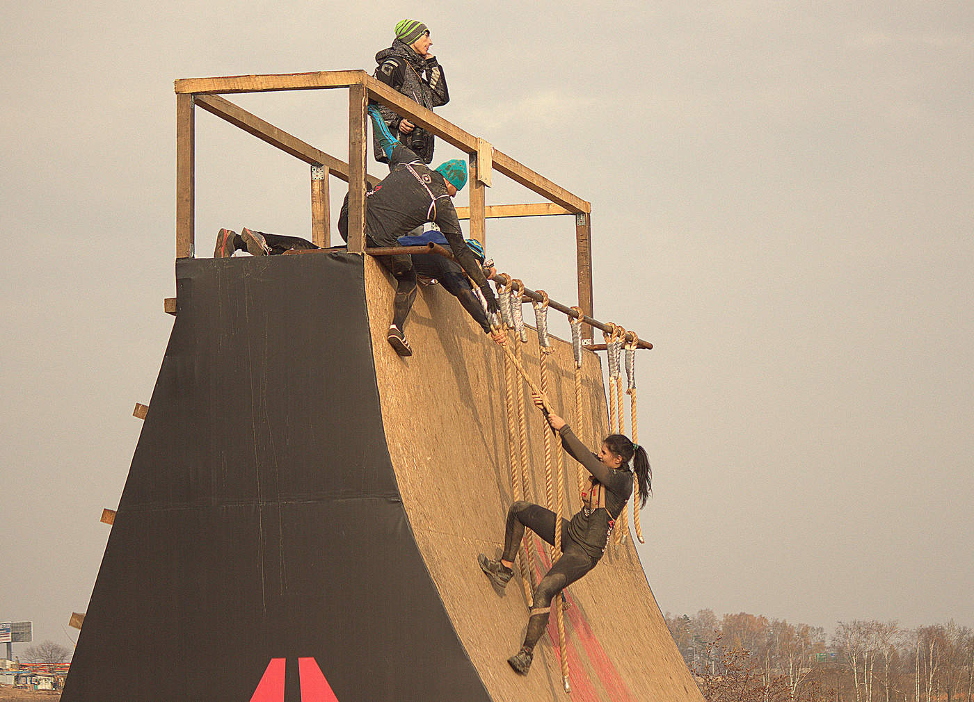 Männliche und weibliche