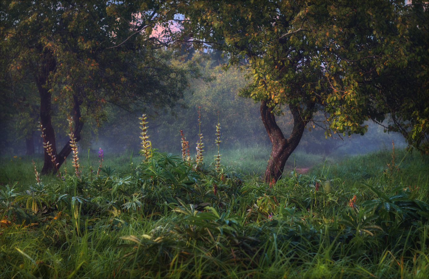 Abenddämmerung nach dem regen