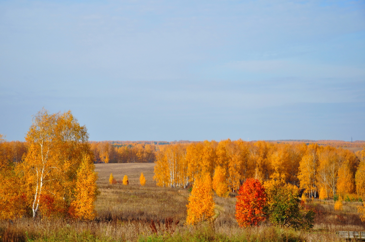 Erfreuliche mir Ihren Abschied Schönheit ...
