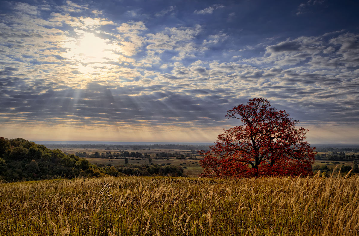 An der Schwelle zum Herbst