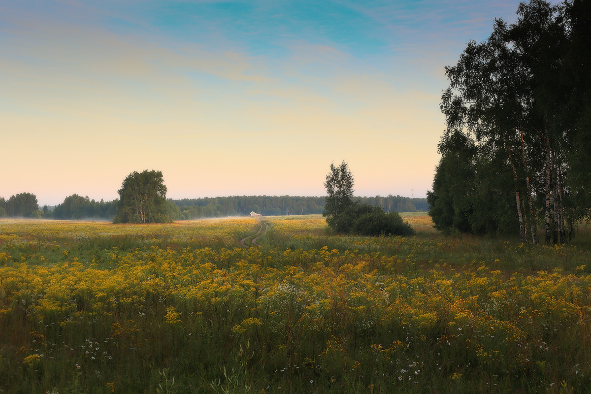 Vor der Morgendämmerung