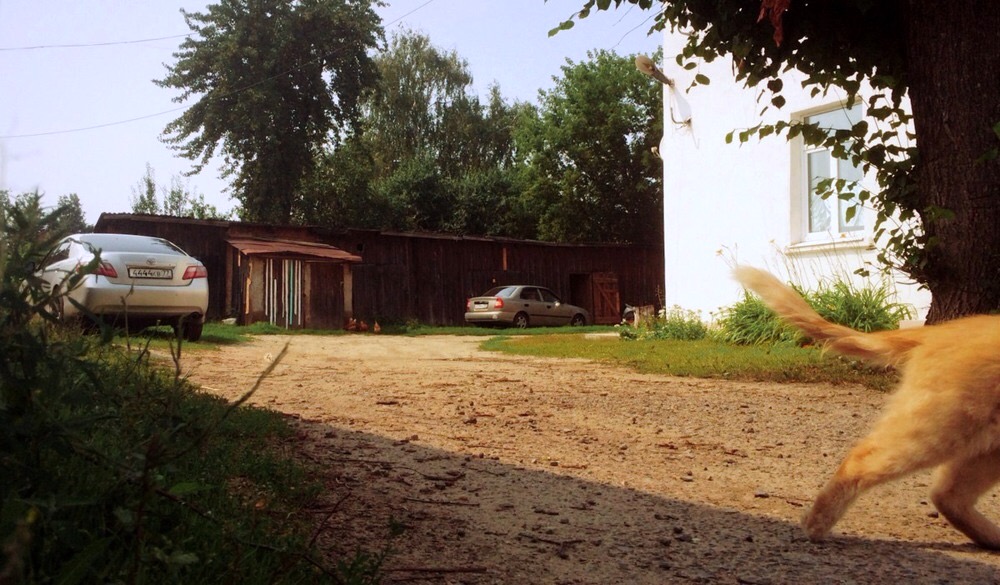 Erinnerungen an den Sommer