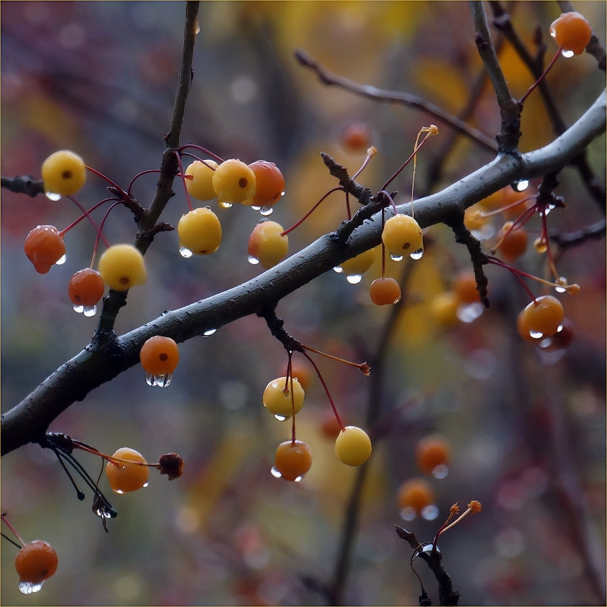Erinnerungen an den Sommer