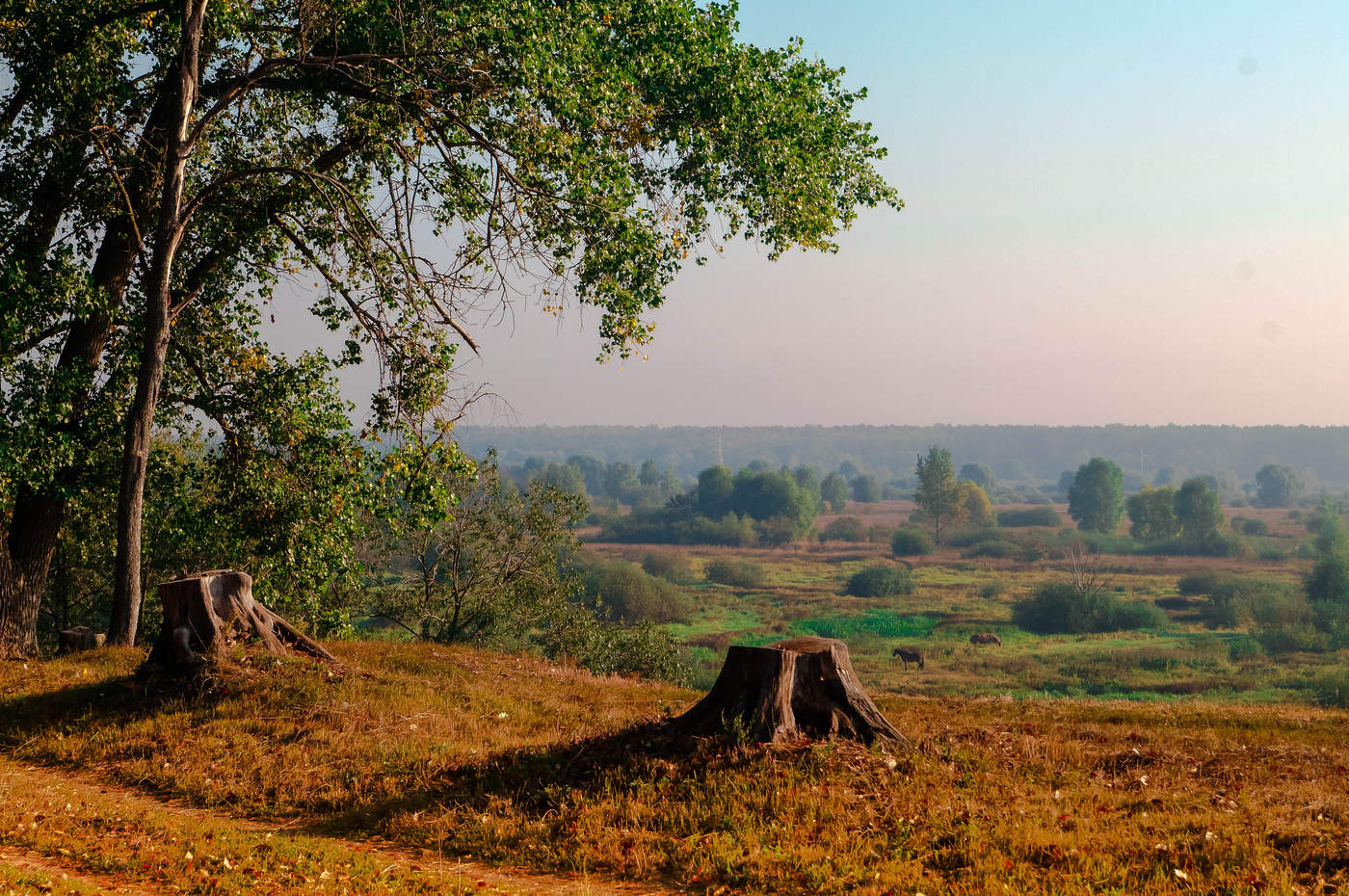 Der Blick von der Klippe