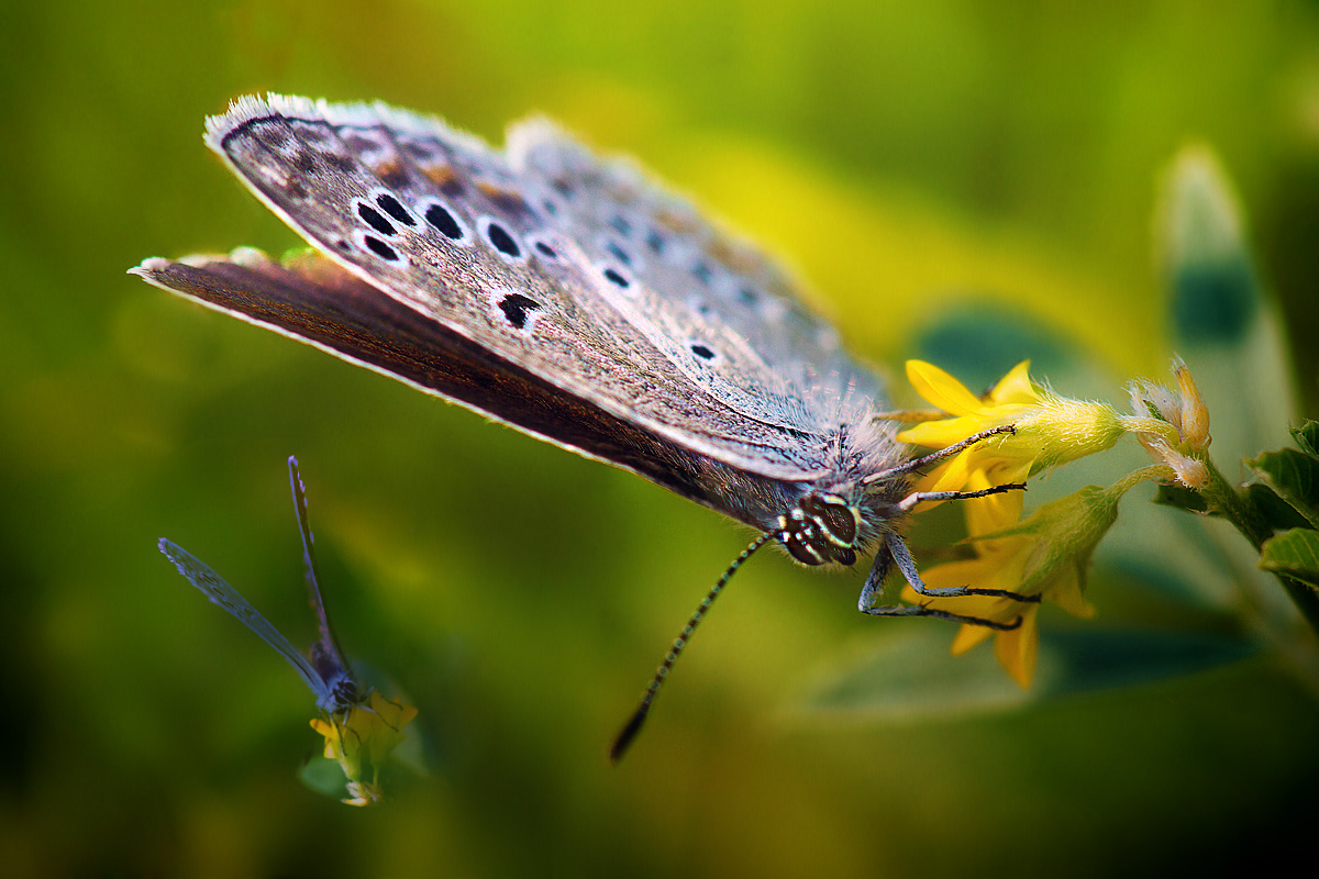 Erinnerungen an den Sommer