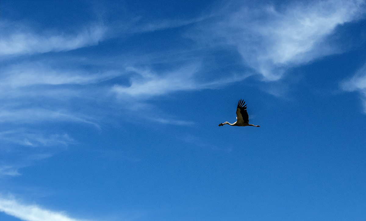 Erinnerungen an den Sommer