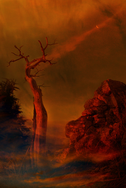 Erinnerungen an den Sommer