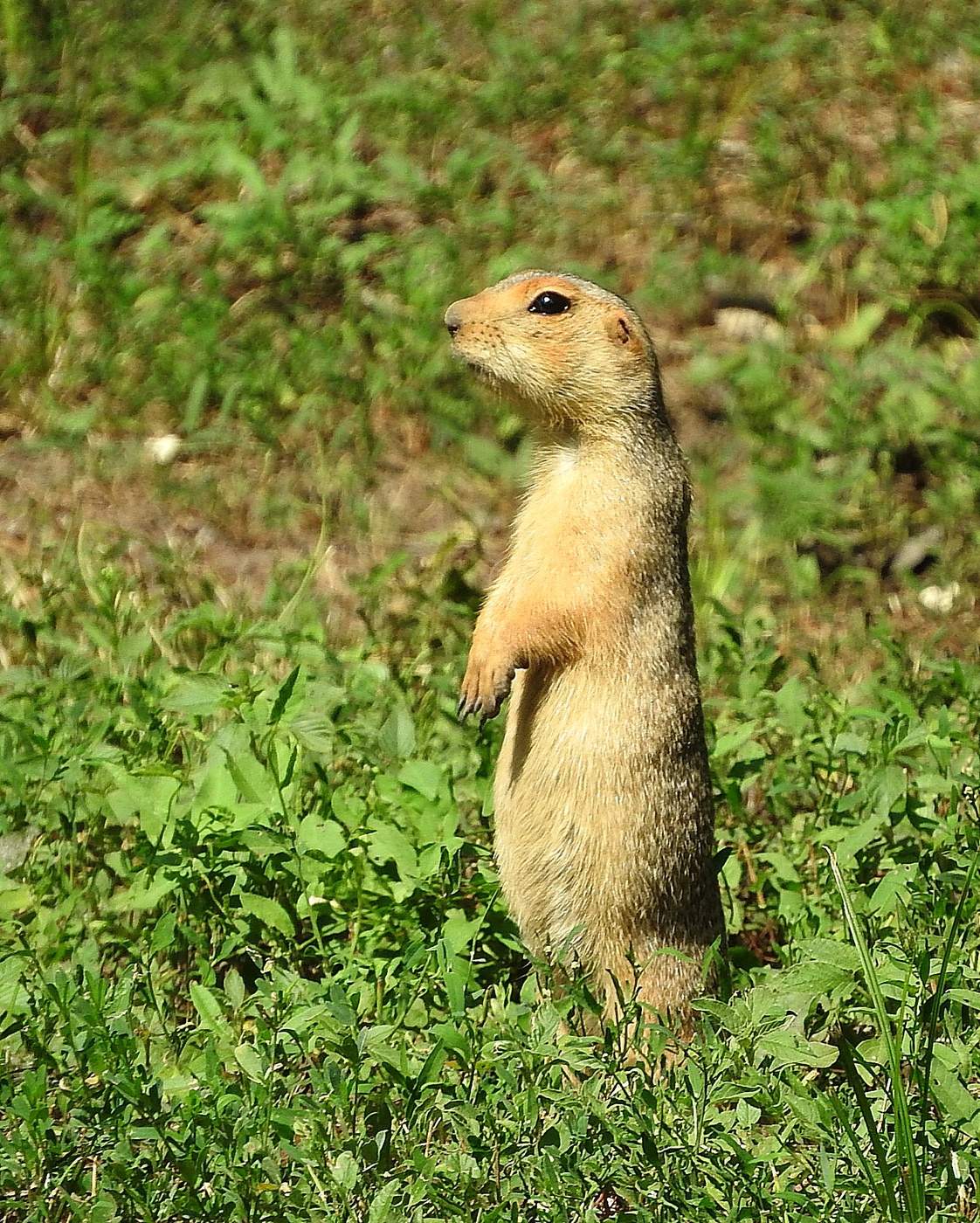 Erinnerungen an den Sommer