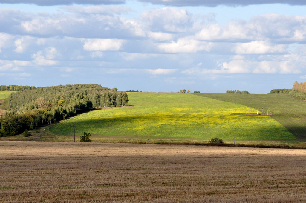 Erinnerungen an den Sommer