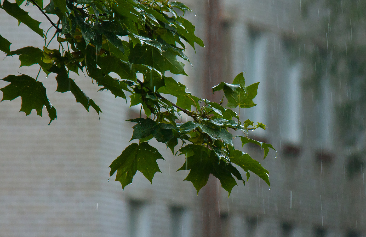 Erinnerungen an den Sommer