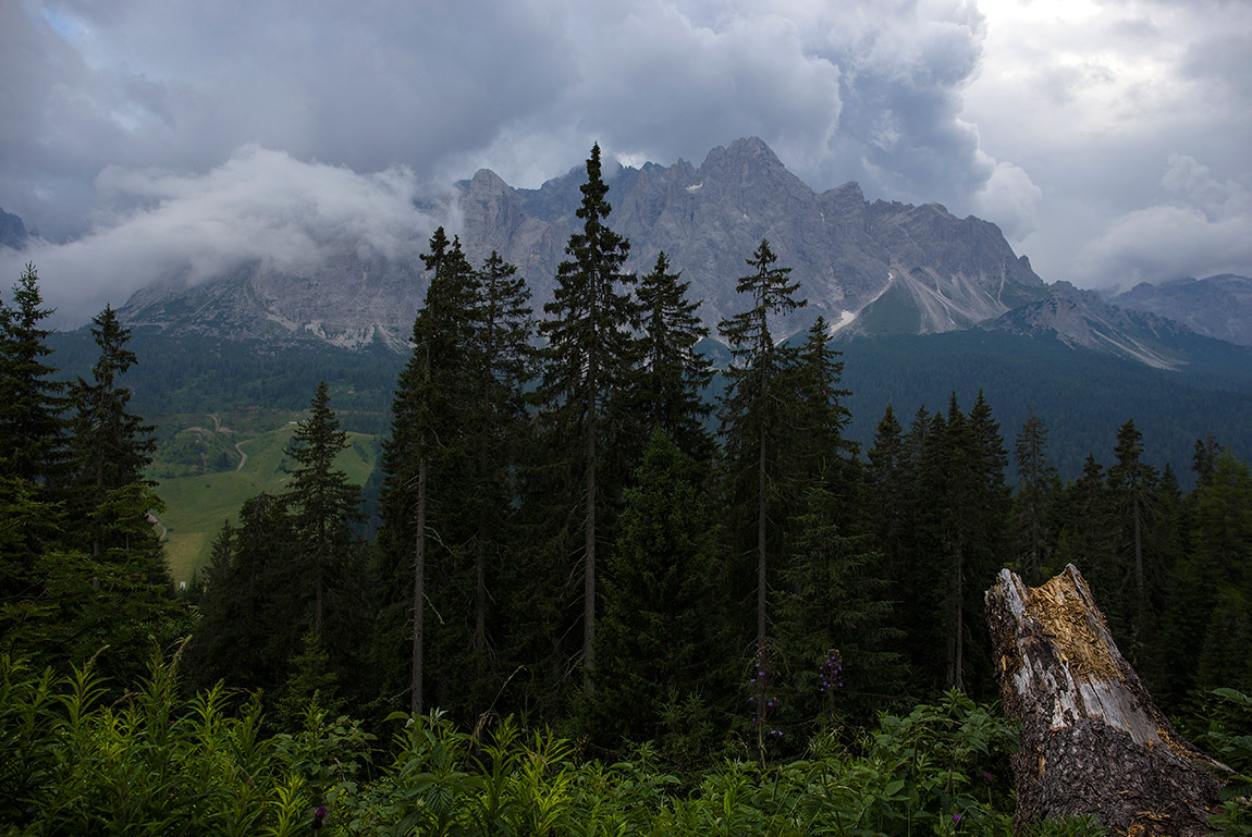 Angleichung der regen
