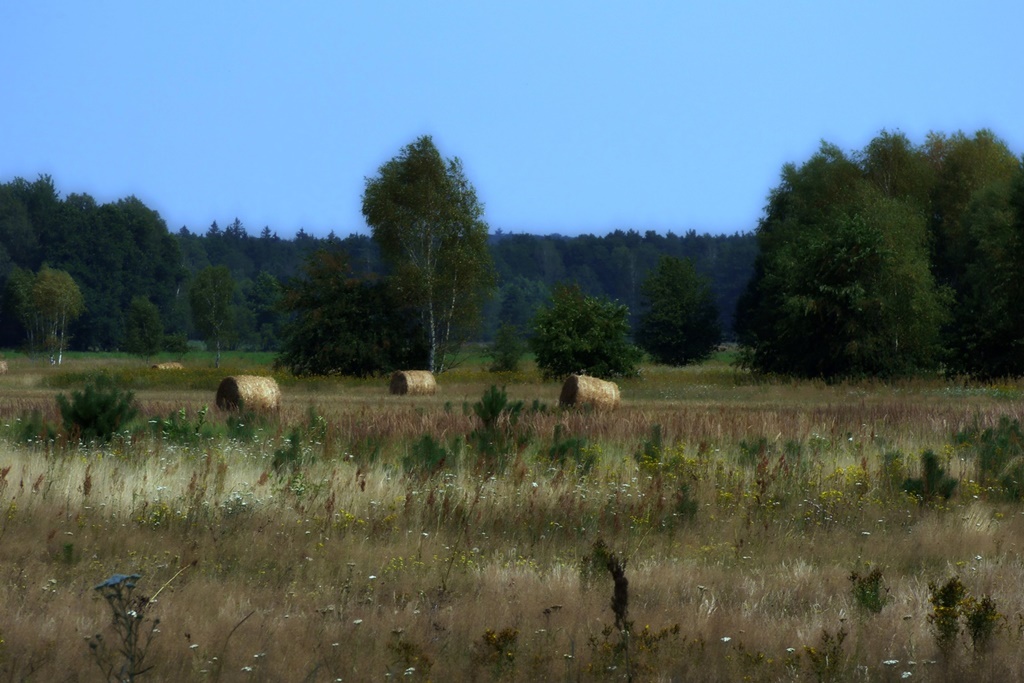 Ein warmer Sommerabend