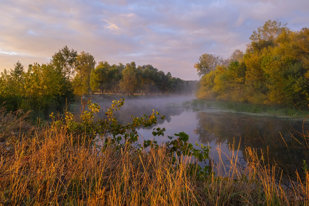 Herbst-Landschaft