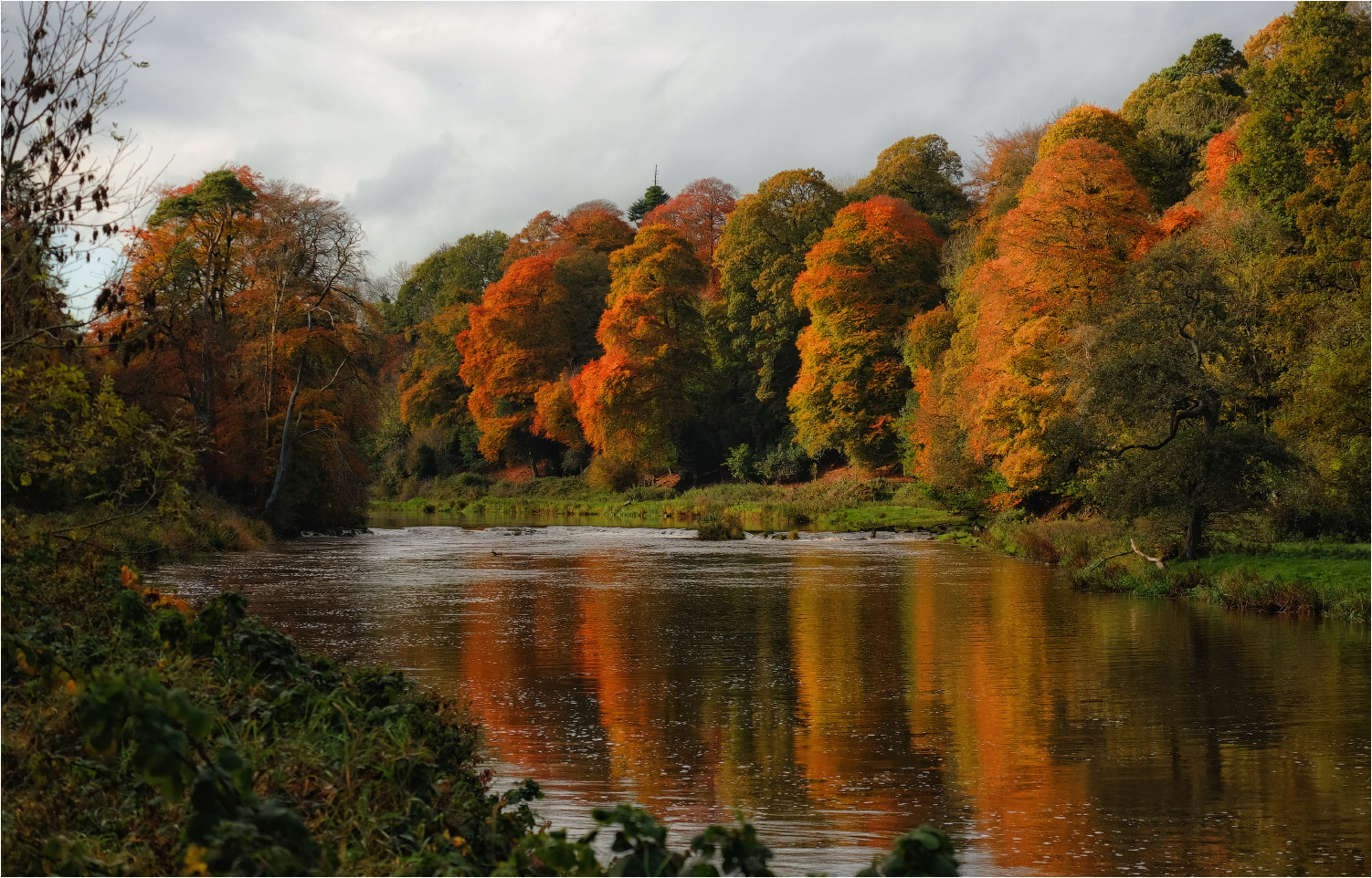 HERBST ... manchmal ...