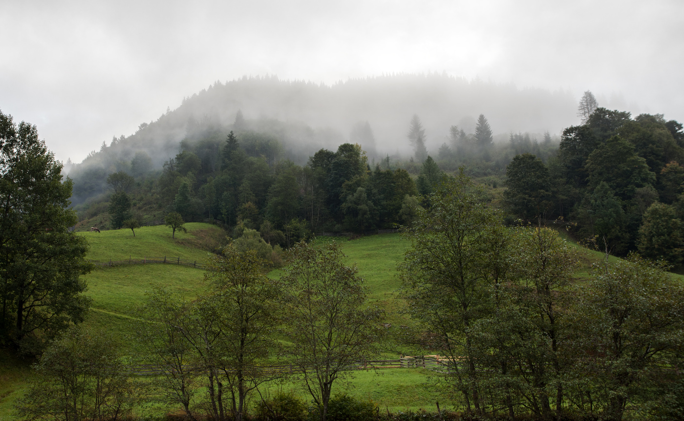 Morgen in den Karpaten
