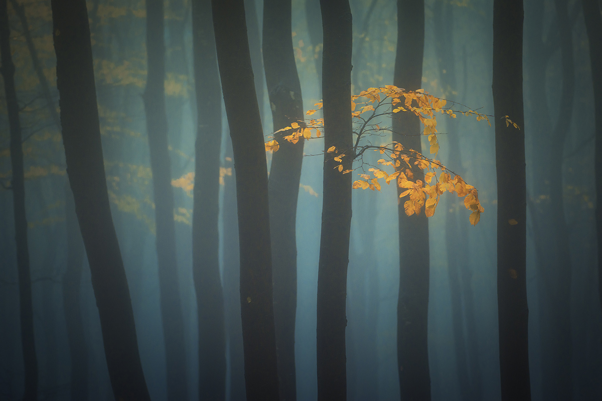 Der Geruch des Herbstes