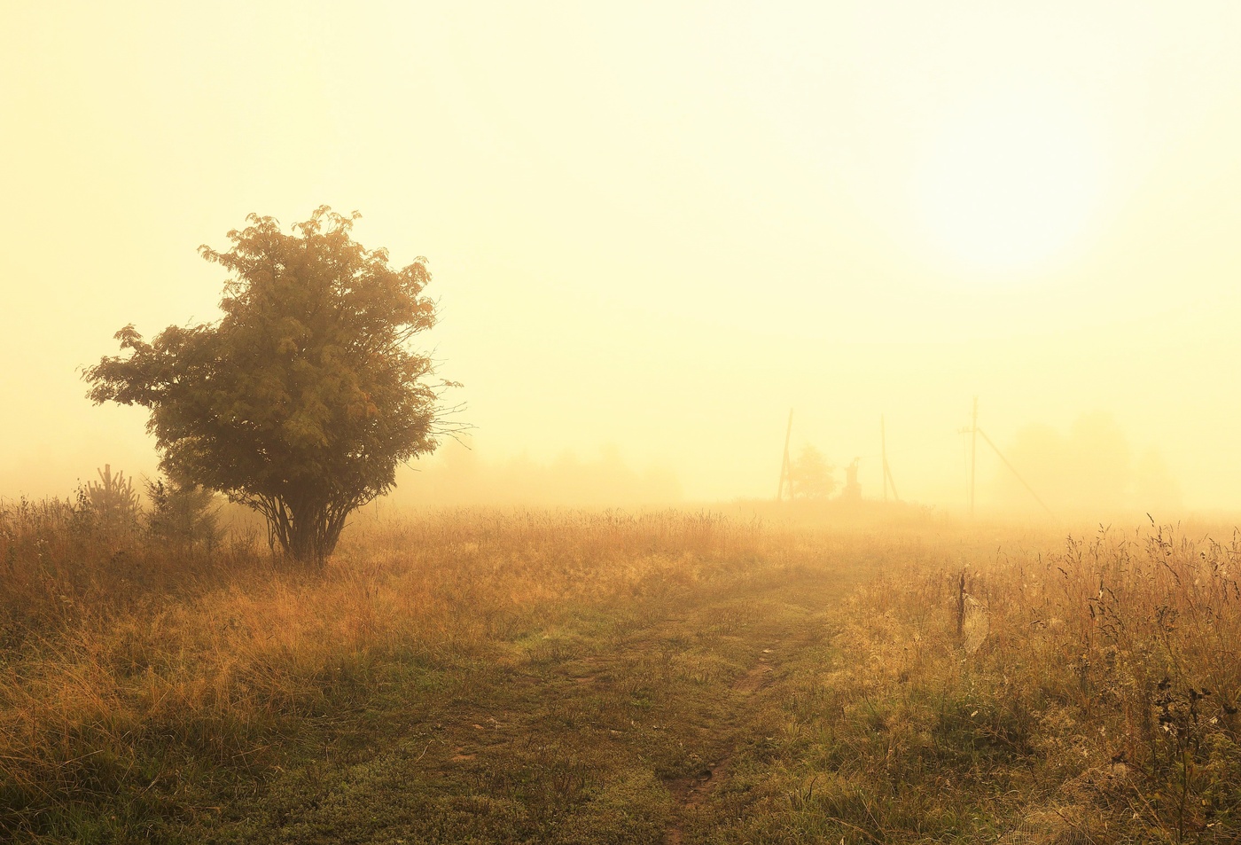 Morgen heißen Tag ...