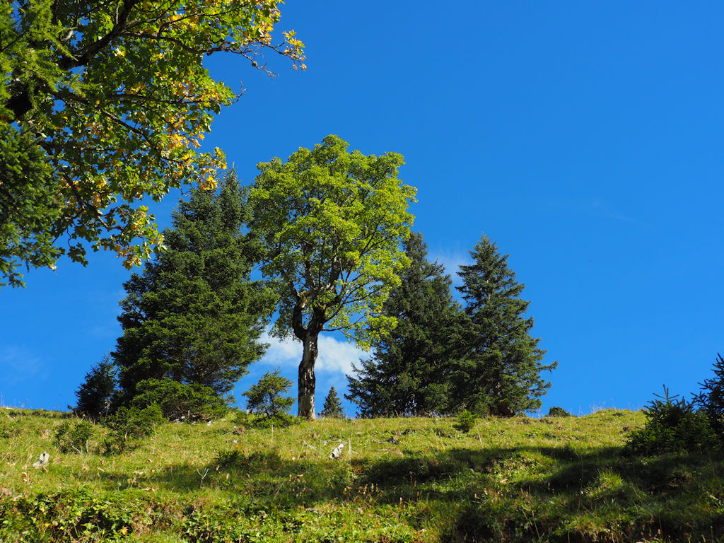 Herbst im Karwendel