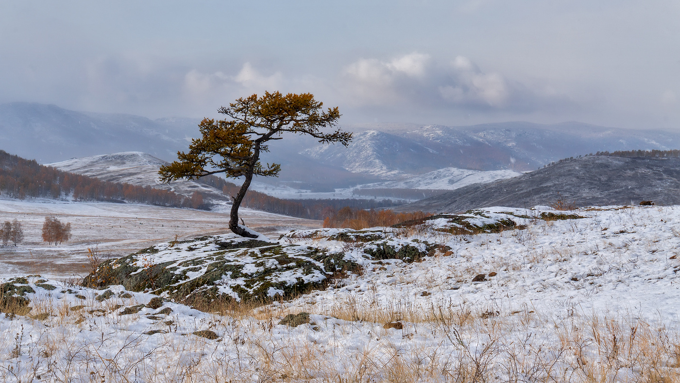 Gohua, Russian edition 2016