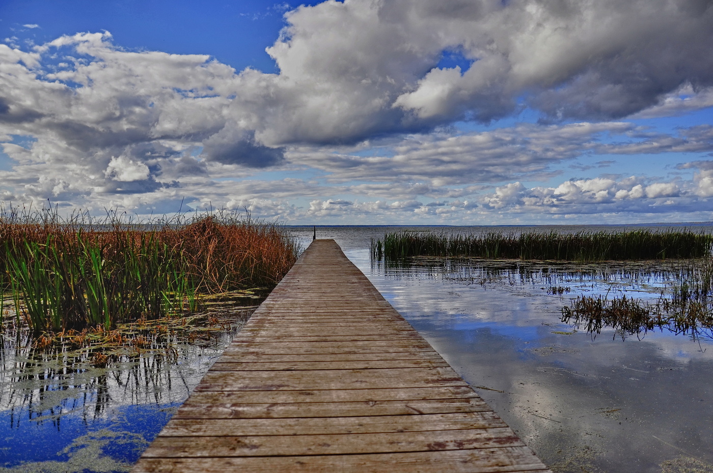 Rufen Sie mich an, in welchem Licht