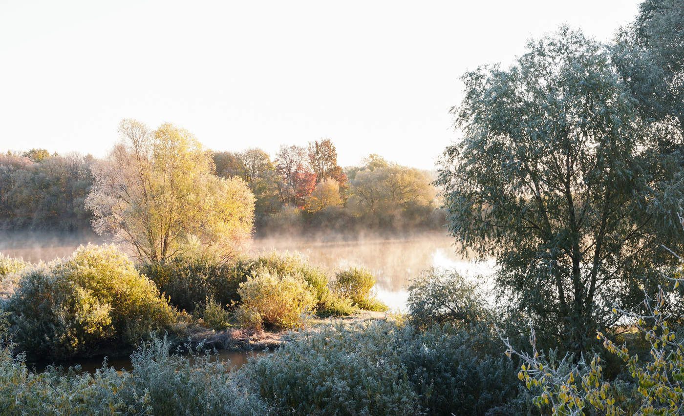 Ein frostiger Morgen