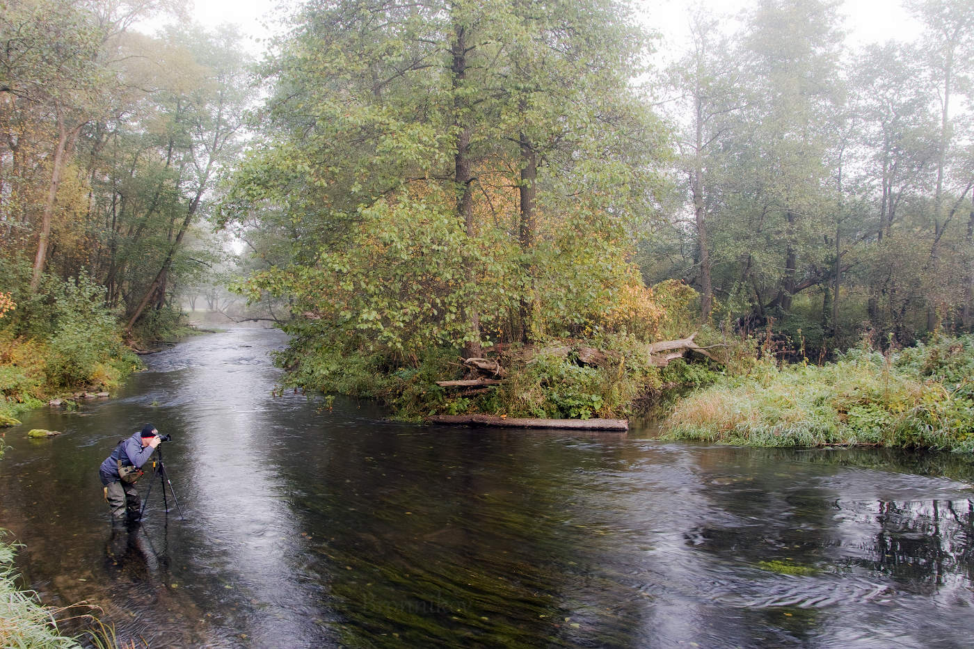 Auf der Suche nach einem Grundstück