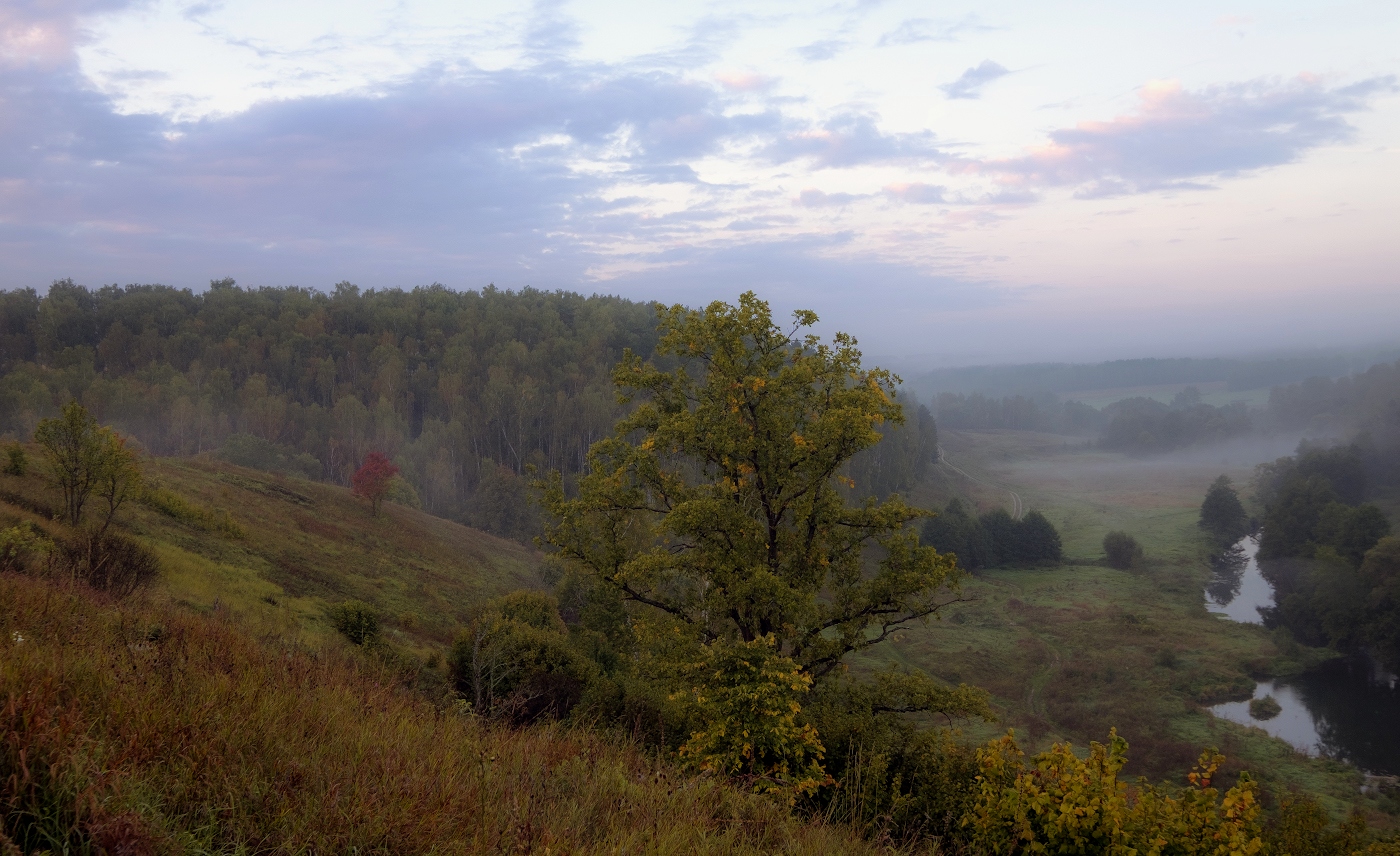 Herbst Färbung