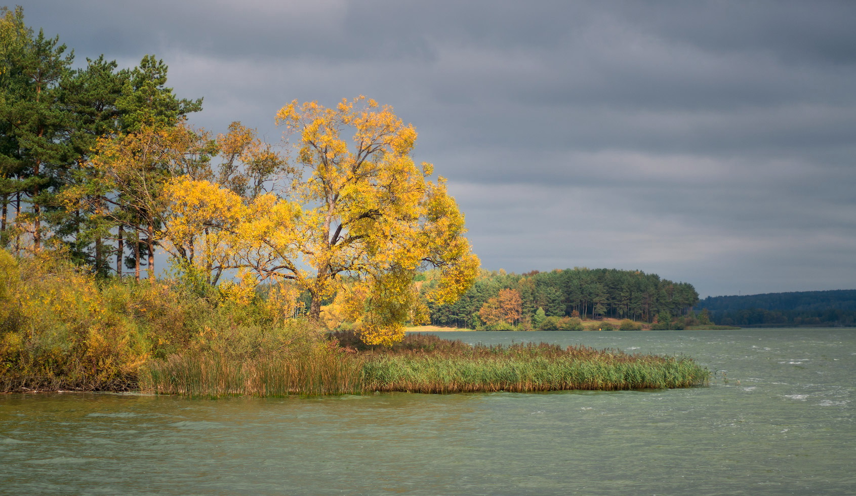 Herbst Färbung