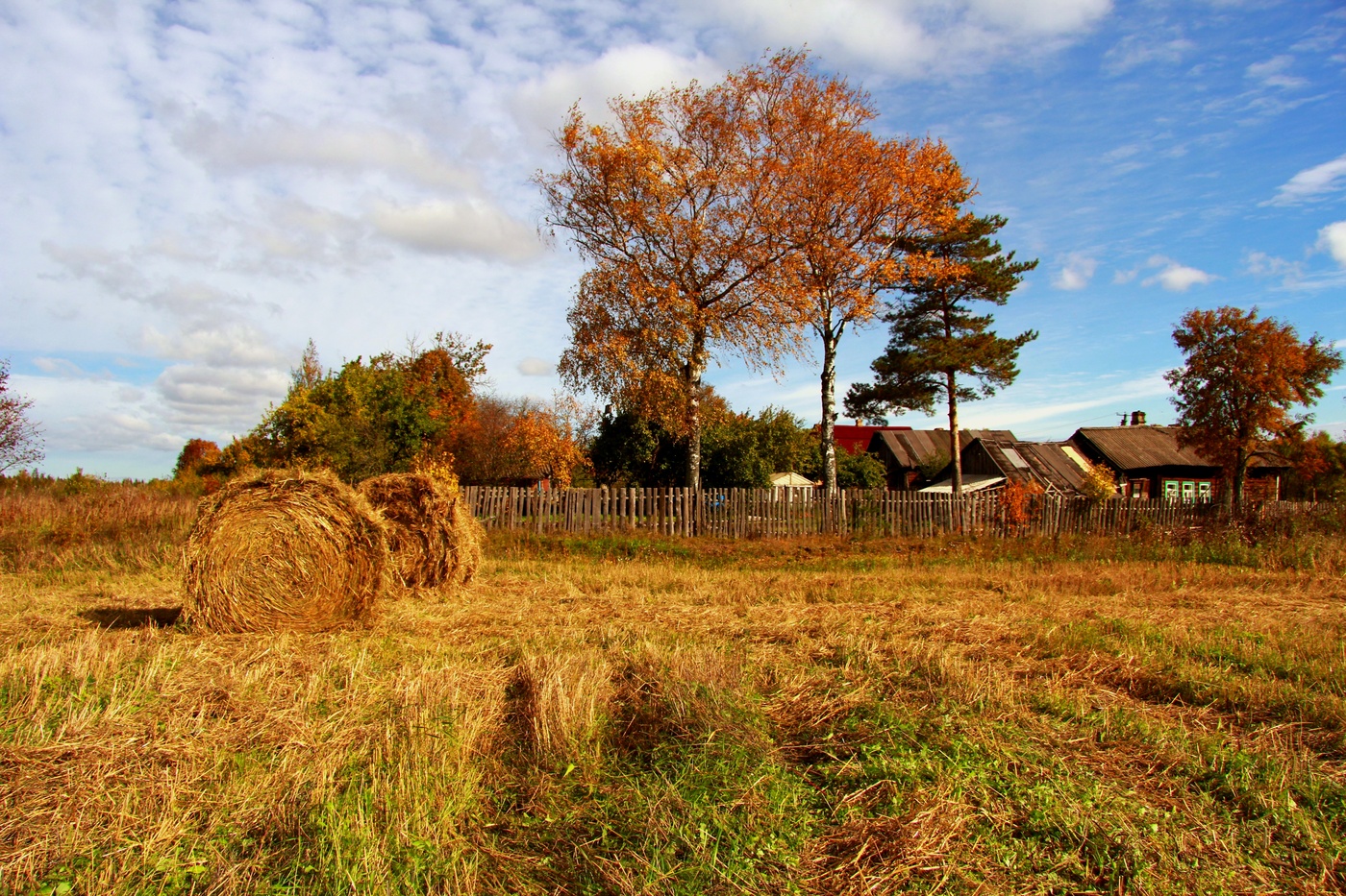 Herbst Färbung