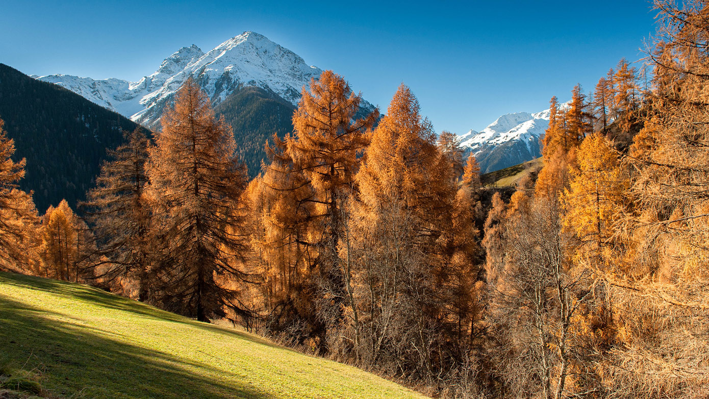Herbst im Engadin