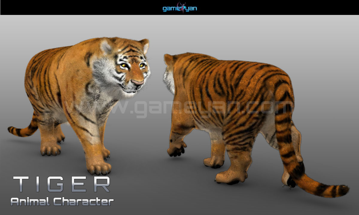 tigre modellazione carattere animale