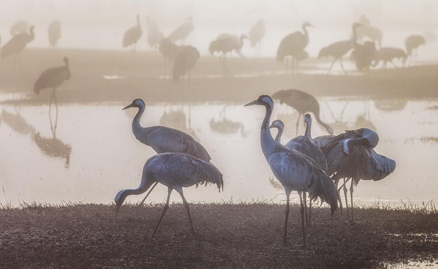 Und auf der anderen Seite ...
